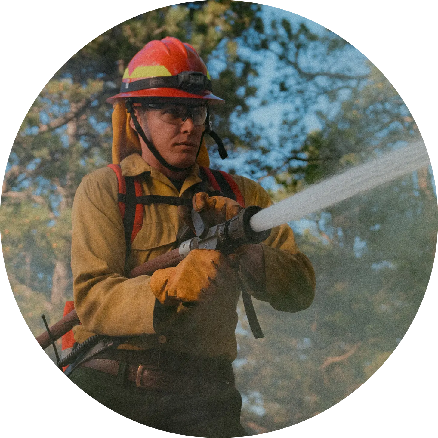 Wildland firefighters